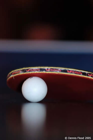 Ping Pong Ball and Paddle