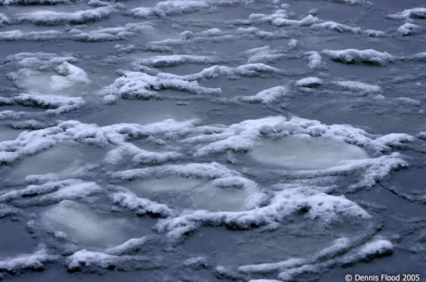 Frozen Circles