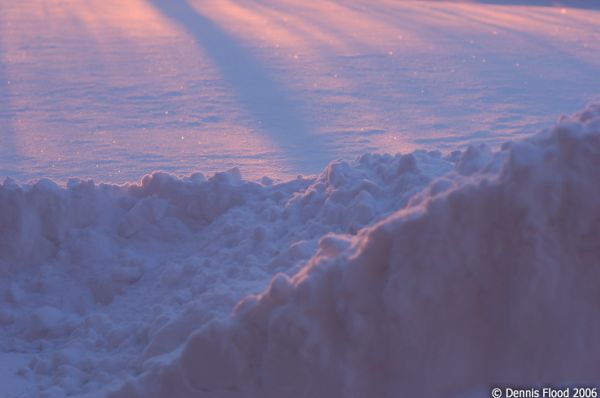 Pink Morning Light